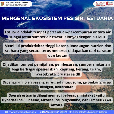 Ekosistem Pesisir : Estuaria